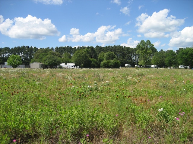 00 US Highway 287 N, Grapeland, TX 75844