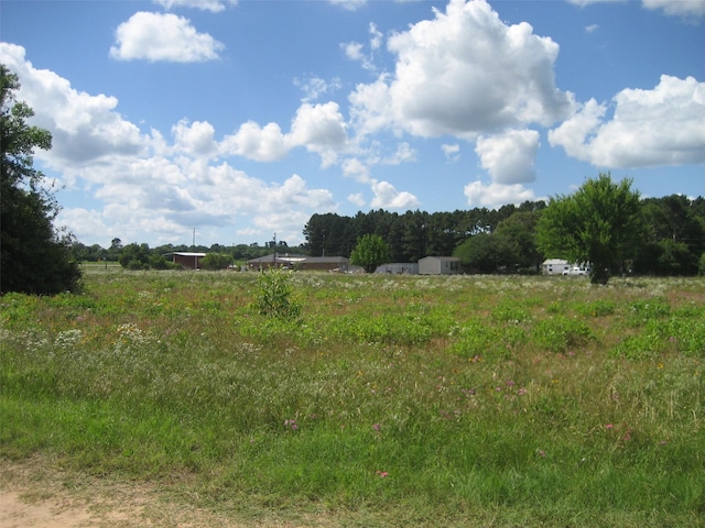 00 US Highway 287 N, Grapeland, TX 75844