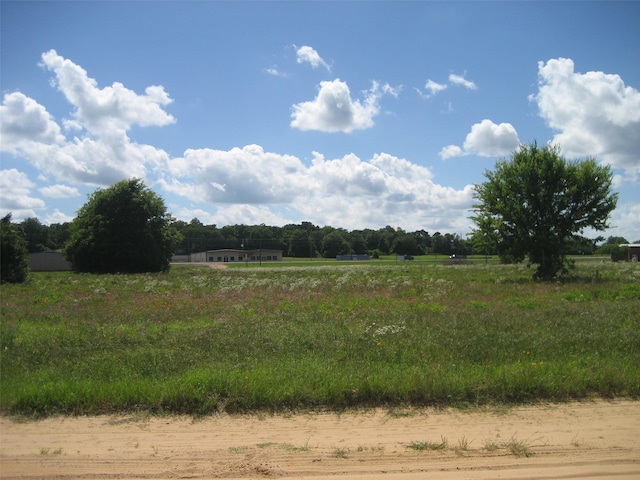 00 US Highway 287 N, Grapeland, TX 75844