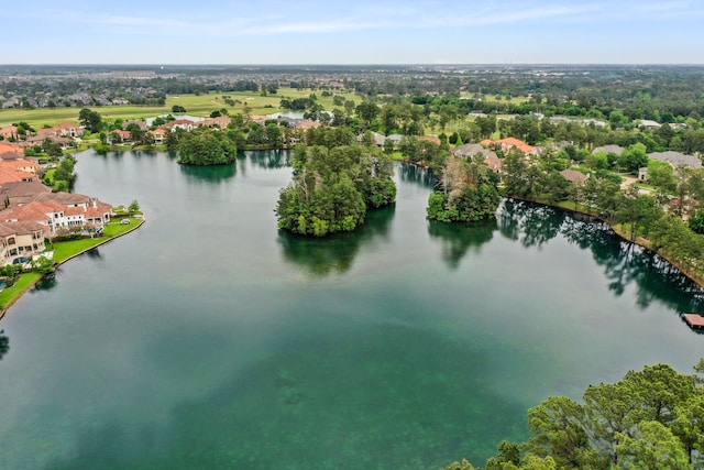 bird's eye view of a large body of water and a tree filled landscape