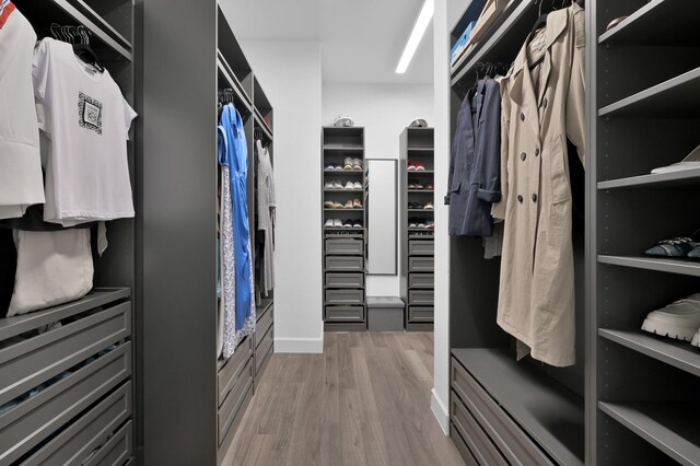 2807 Kingly Pine Trl, Conroe, TX 77385 - walk in closet featuring light wood-style floors