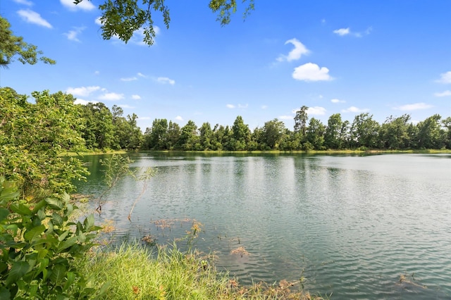 8038 Villa Lago Ln, Houston, TX 77070 - water view featuring a forest