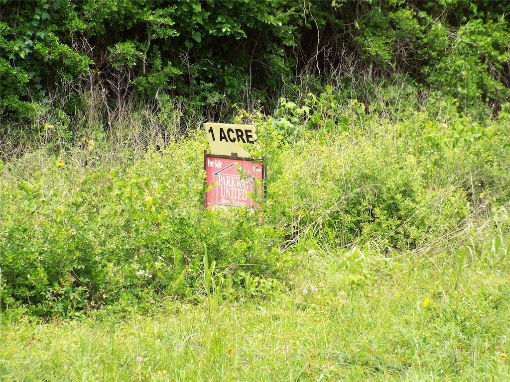 2280 State Highway 150, Coldspring, TX 77331