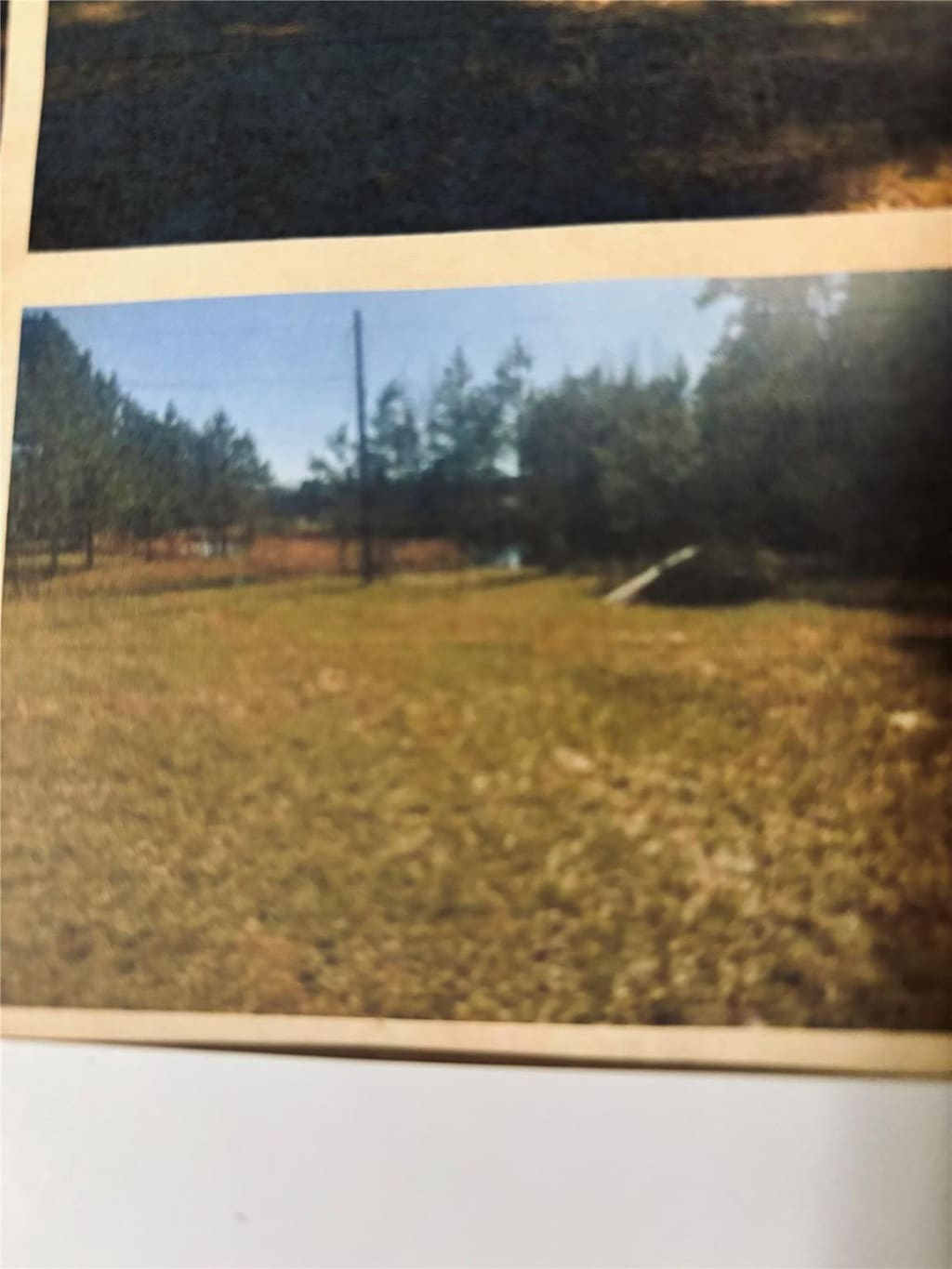 2280 State Highway 150, Coldspring, TX 77331