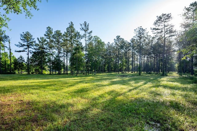 tbd County Road 4670, Fred, TX 77616 - photo 2