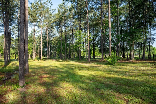 tbd County Road 4670, Fred, TX 77616 - photo 3