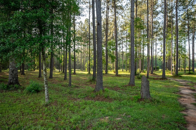 tbd County Road 4670, Fred, TX 77616 - photo 4