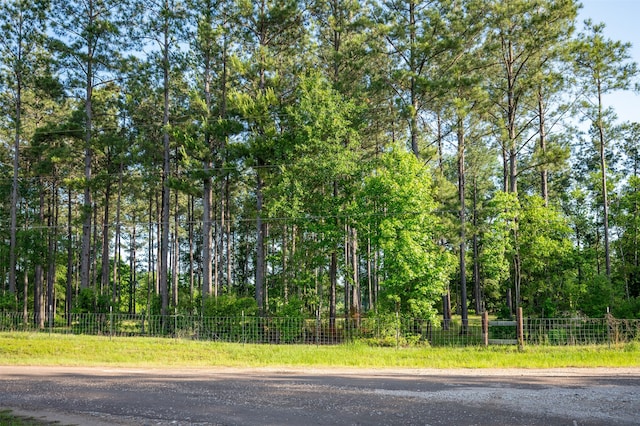 tbd County Road 4670, Fred, TX 77616 - photo 5