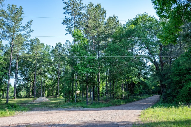tbd County Road 4670, Fred, TX 77616 - photo 6