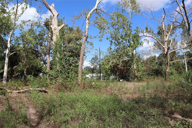 13314 Ann Louise Rd, Houston, TX 77086