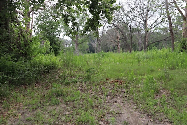 13314 Ann Louise Rd, Houston, TX 77086