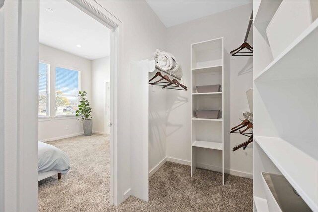 1013 Erin St Unit A, Houston, TX 77009 - spacious closet with carpet floors