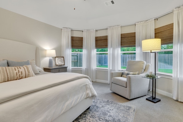 21310 Baldovin Way, Tomball, TX 77375 - bedroom featuring carpet, baseboards, and multiple windows