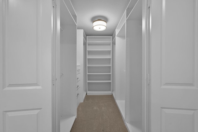 2806 Triway Ln, Houston, TX 77043 - spacious closet featuring carpet flooring