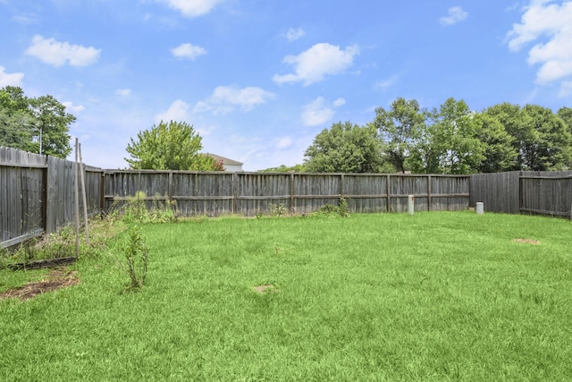 view of yard