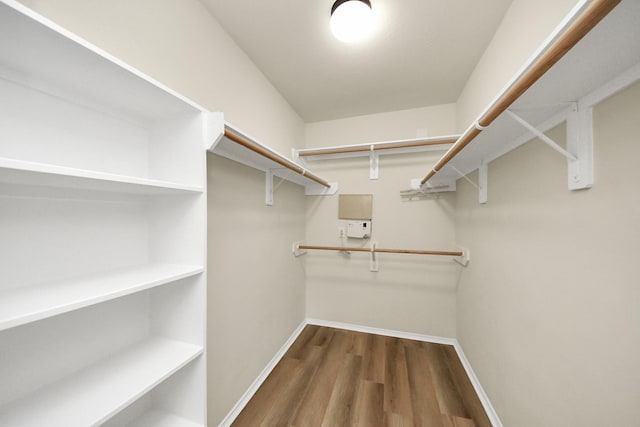 2614 Leopard Ct, Katy, TX 77449 - walk in closet featuring dark wood-style flooring
