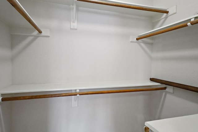 1383 El Camino Village Dr, Webster, TX 77058 - view of spacious closet