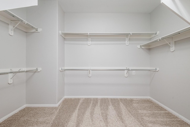 28437 Ofallon Mills Dr, Spring, TX 77386 - walk in closet featuring carpet flooring