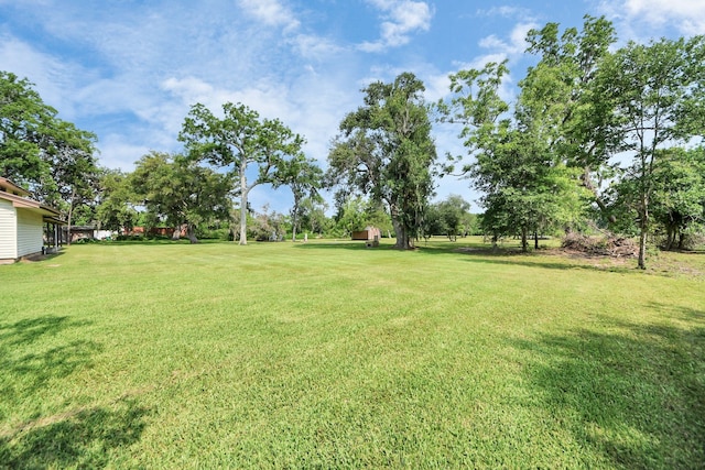 1417 Brigance Rd, Brazoria, TX 77422 - view of green lawn