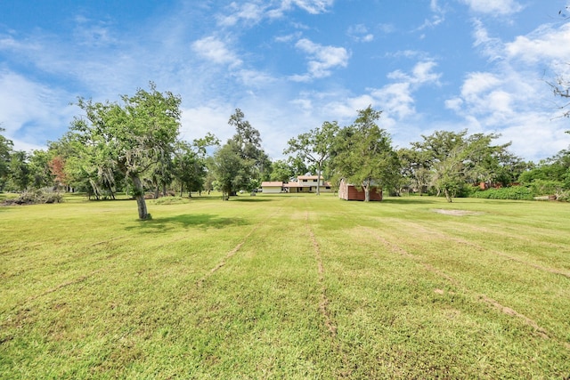 1417 Brigance Rd, Brazoria, TX 77422 - view of grassy yard