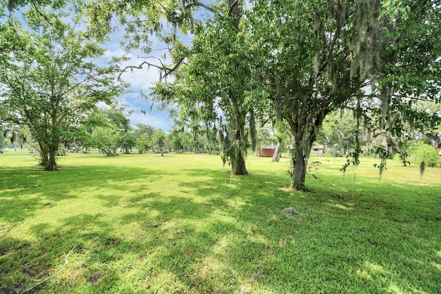 1417 Brigance Rd, Brazoria, TX 77422 - view of green lawn