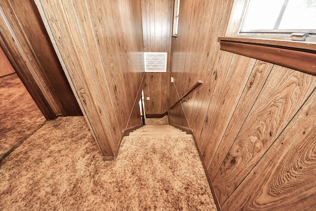 1417 Brigance Rd, Brazoria, TX 77422 - stairway with wooden walls and carpet flooring