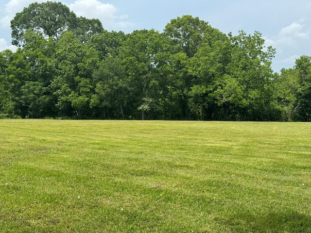12215 Fm 442nd Rd, Boling, TX 77420 - view of grassy yard featuring a view of trees