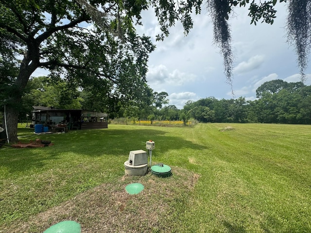 12215 Fm 442nd Rd, Boling, TX 77420 - view of green lawn