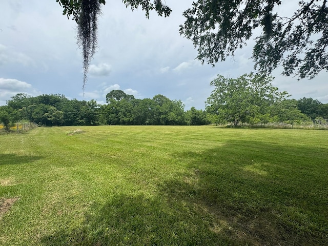 12215 Fm 442nd Rd, Boling, TX 77420 - view of grassy yard featuring a view of rural / pastoral area