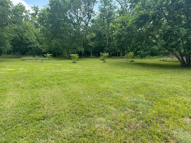 12215 Fm 442nd Rd, Boling, TX 77420 - view of grassy yard