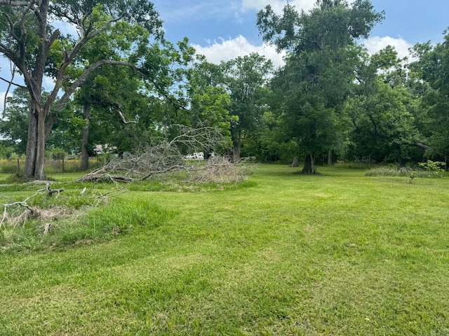 12215 Fm 442nd Rd, Boling, TX 77420 - view of green lawn