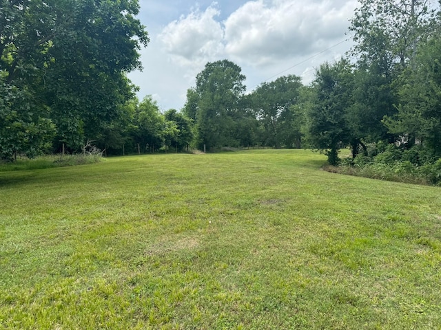 12215 Fm 442nd Rd, Boling, TX 77420 - view of grassy yard featuring a view of trees