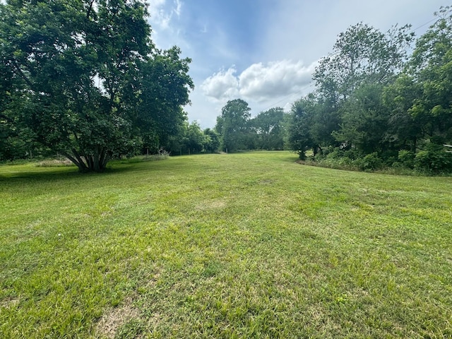 12215 Fm 442nd Rd, Boling, TX 77420 - view of green lawn