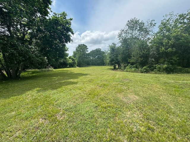 12215 Fm 442nd Rd, Boling, TX 77420 - view of green lawn
