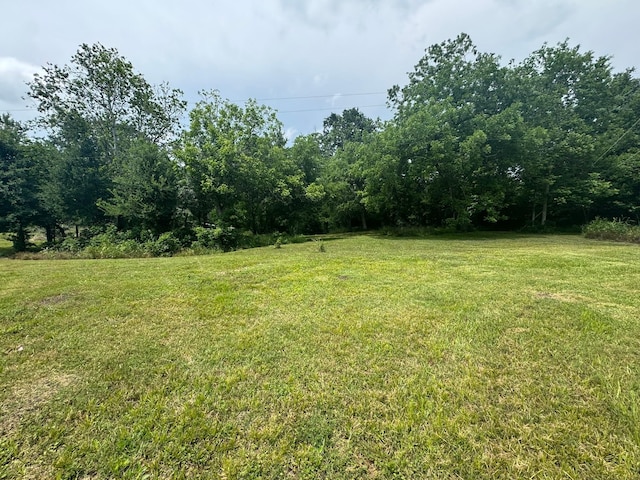 12215 Fm 442nd Rd, Boling, TX 77420 - view of grassy yard