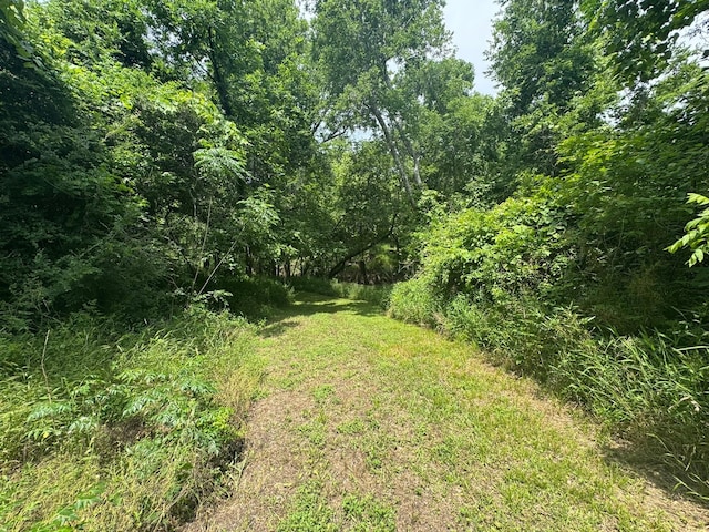 12215 Fm 442nd Rd, Boling, TX 77420 - view of yard with a wooded view