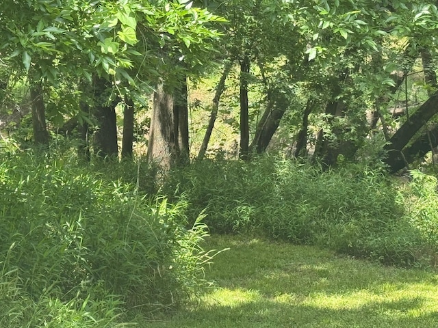 12215 Fm 442nd Rd, Boling, TX 77420 - view of undeveloped land