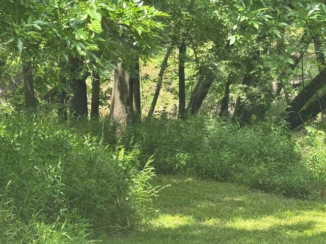 12215 Fm 442nd Rd, Boling, TX 77420 - view of undeveloped land