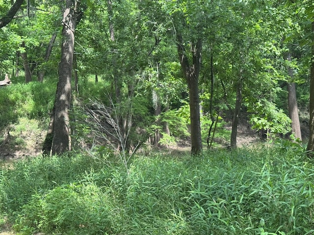 12215 Fm 442nd Rd, Boling, TX 77420 - view of tree filled area