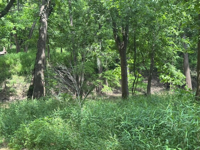 12215 Fm 442nd Rd, Boling, TX 77420 - view of tree filled area