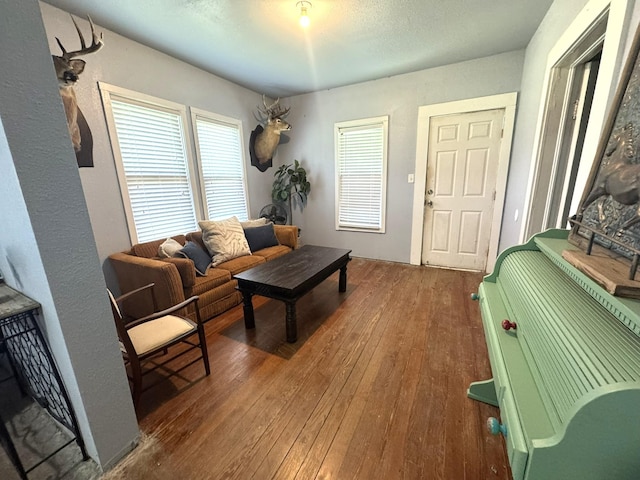 12215 Fm 442nd Rd, Boling, TX 77420 - living room featuring hardwood / wood-style flooring