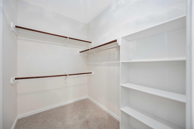 1910 Shark Ct, Crosby, TX 77532 - spacious closet with carpet