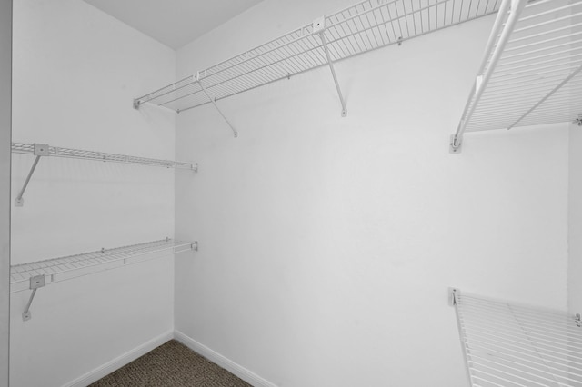 9850 Pagewood Ln Unit 1208, Houston, TX 77042 - view of walk in closet