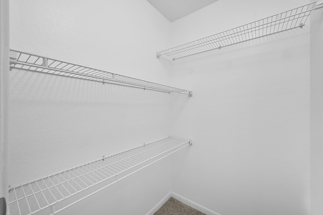 9850 Pagewood Ln Unit 1208, Houston, TX 77042 - view of walk in closet