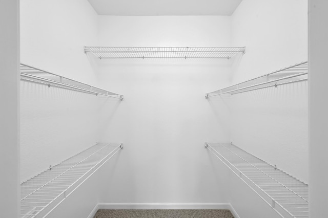 9850 Pagewood Ln Unit 1208, Houston, TX 77042 - walk in closet with carpet flooring
