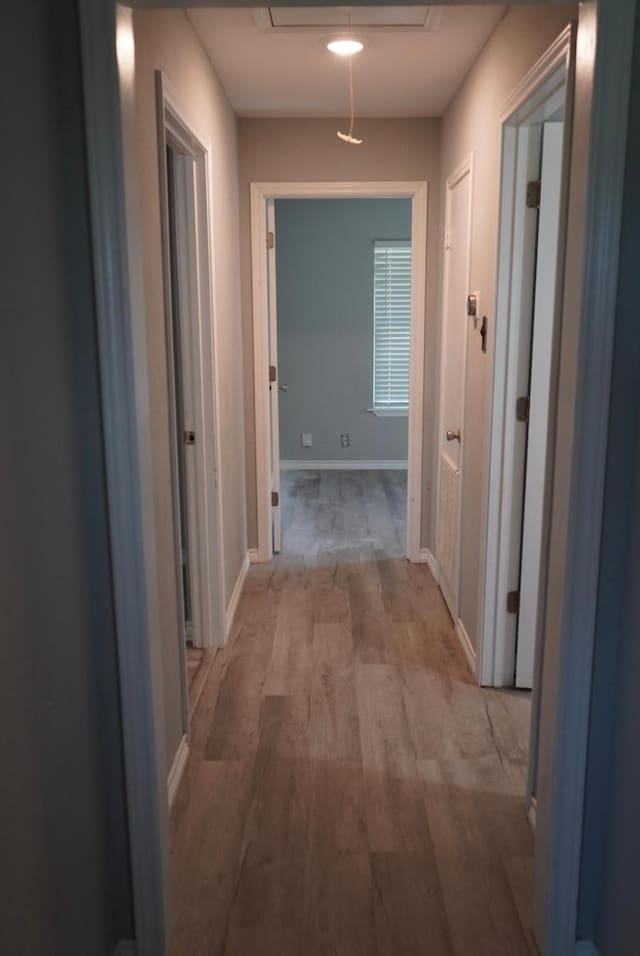 123 25th Ave N, Texas City, TX 77590 - corridor with wood finished floors and baseboards