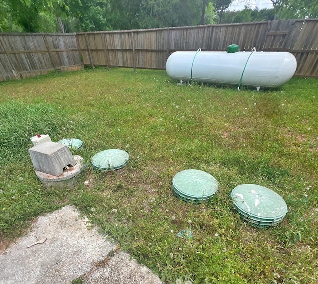 3811 Empress Ln, Richmond, TX 77406 - view of yard