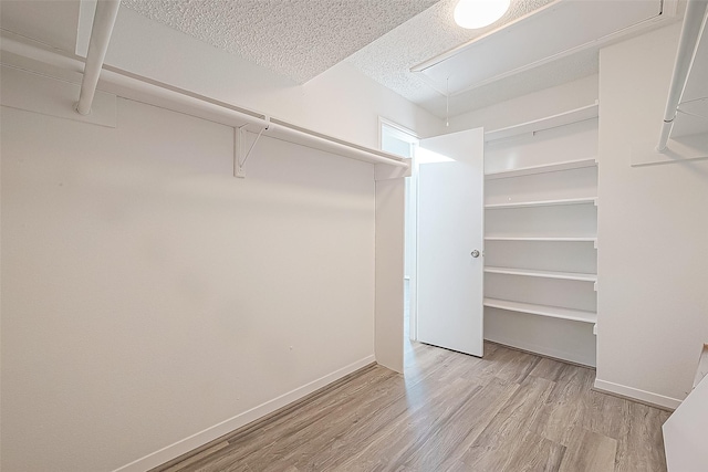 9393 Westwood Village Dr Unit 64, Houston, TX 77036 - spacious closet with attic access and wood finished floors