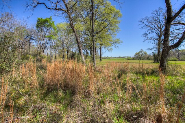 1547 Fm-1375, Huntsville, TX 77340