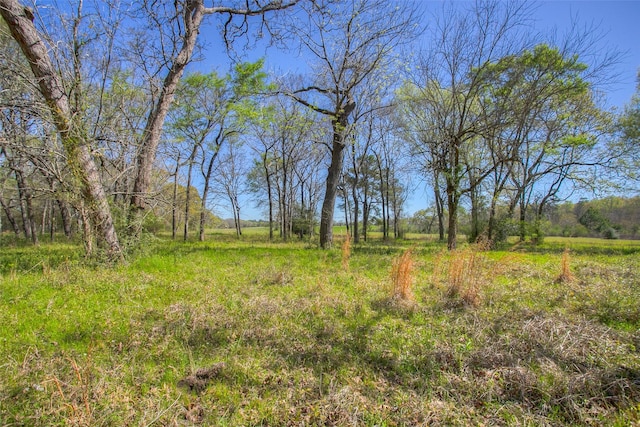 1547 Fm-1375, Huntsville, TX 77340